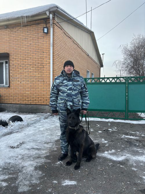 Служебная собака по кличке Волк помогла оперативникам раскрыть две кражи по горячим следам
