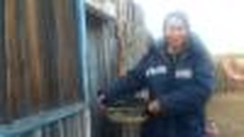 Бесплатный уголь