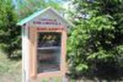 Приглашают в… в уличную библиотеку