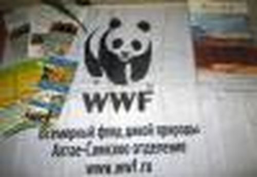 Пошел и дошел!