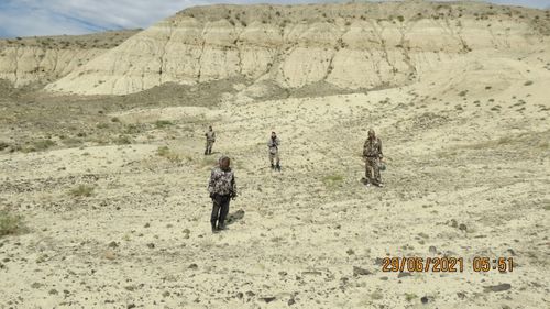 Студенты ТувГУ провели раскопки на неогеновом местонахождении «Холу»