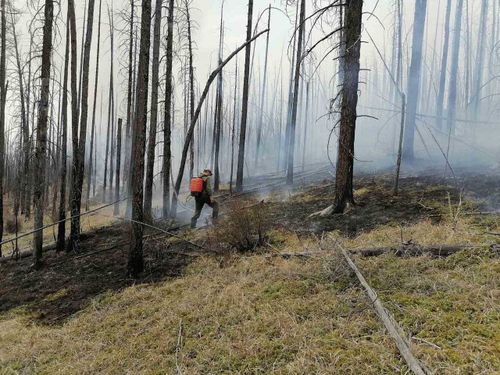В Дзун-Хемчикском районе введен режим ЧС