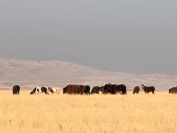Көдээ ажыл-агый черлерин ажыглалче киирер