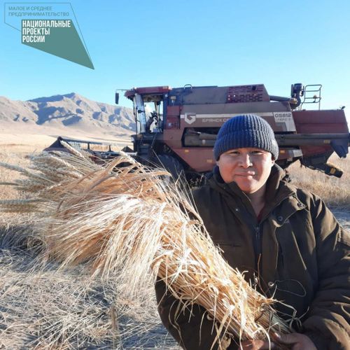 АЯС БАВУУ — ЧЕДИИШКИННИГ ТАРААЖЫ