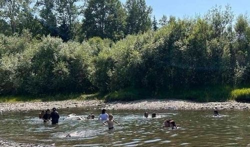 Ада-ие дыштанылга үезинде ажы-төлү дээш харыысалгалыг болур ужурлуг