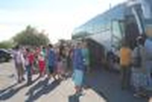 К соседям в сосновый бор