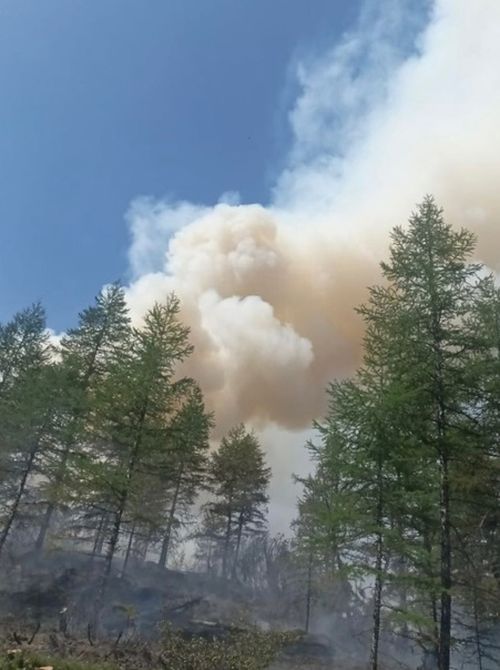 40 парашютистов-десантников из Тувы помогут тушить пожары в Якутии