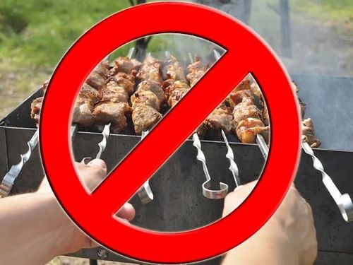 Глава Тувы Владислав Ховалыг напомнил о введенном на территории республики до 15 мая противопожарном режиме