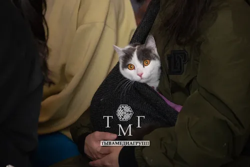 Накануне в монастыре Тубтен Шедруб Линг впервые в Туве прошел ритуал благословения животных