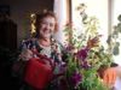 Прошу направить меня в Туву