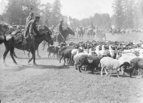 ЧYРЕК азы Чүгүрүк буттар болгаш чүүл-бүрү идиктер дугайында тоожулал