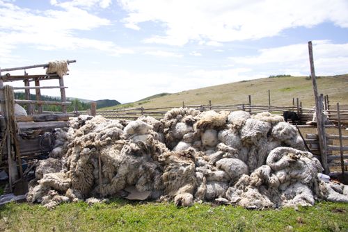 Что делать с шерстью?