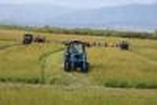 Коси коса, пока роса