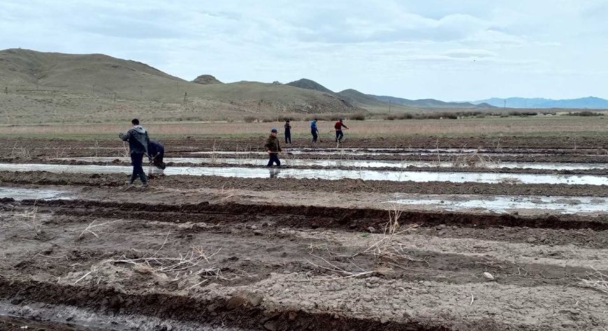 Аграрии Дзун-Хемчикского района приступают к весенне-полевым работам