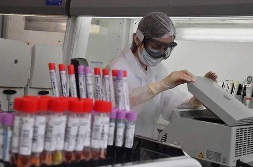 В Туве заработает еще одна лаборатория для приема анализов на COVID-19 