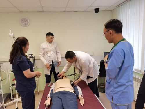 Тываның эмчи ажылдакчылары билиг-мергежилин бедидип турар