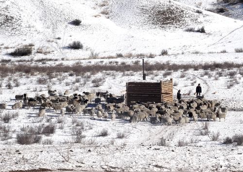 Юбилей ТНР в свете Чаа-Хольского постмодернизма