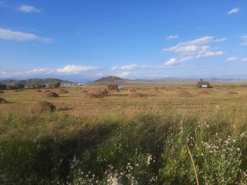 В Барун-Хемчике полным ходом идет заготовка кормов