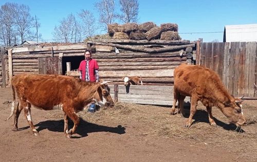 Эрги-Барлыкта хууда дузалал ажыл-агыйлары немешкен