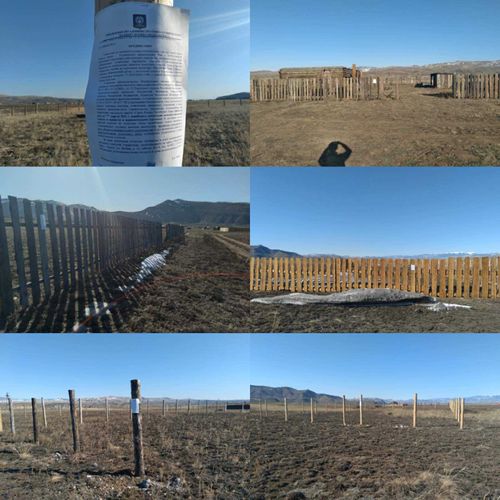 Захватчикам участков на “Вавилах” придется освободить землю от построек до 7 апреля