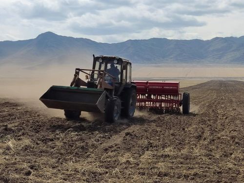 Часкы хову ажылдарынга белеткел