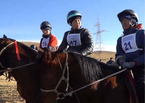 В Туве стартовал сезон конных скачек