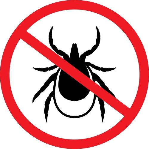 Саргы үези келген