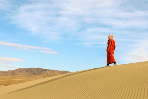 В Туве открываются новые возможности благодаря доступу к мобильному Интернету в пустыне