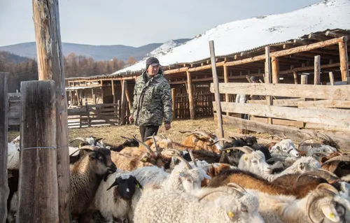 Фермер с большим сердцем