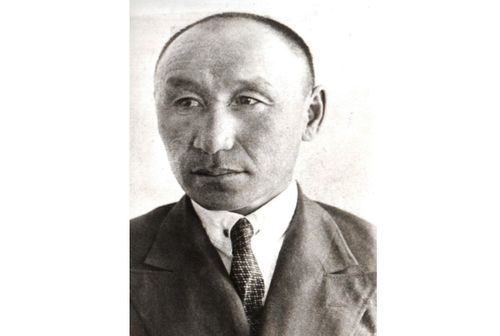 Чеди боолаашкынның чаңгызы