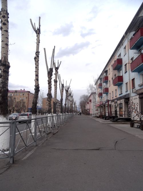 Вы не поверите! Когда-то в Туве серьезно занимались озеленением