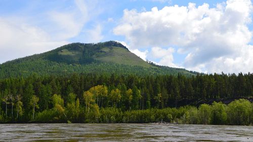 На Тодже проведут химобработку штабелей древесины