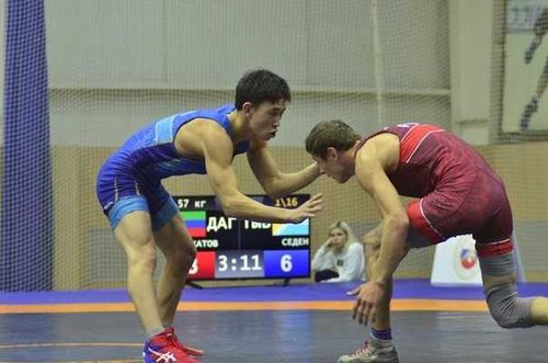 Турнир по вольной борьбе среди мужчин на призы Главы Тувы