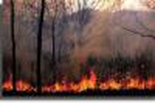 Штрафы за пожары