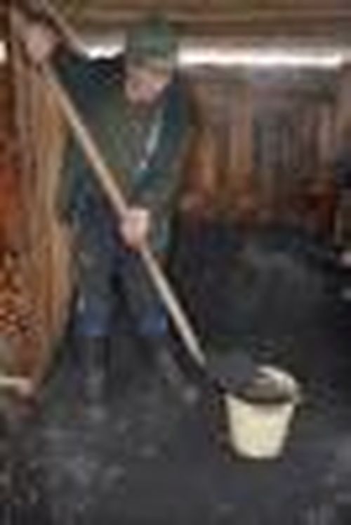 «Социальный уголь»— подспорье для семьи