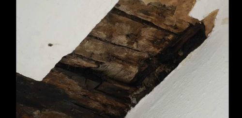 Старость - не радость, или просто пора делать ремонт? О причинах обвалившейся штукатурки в школе №1