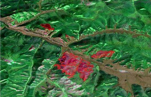 В Туве стартовали работы по мониторингу состояний лесов