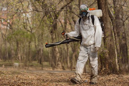 Старое кладбище Кызыла не будет обработано. У городских властей нет денег для борьбы с клещами