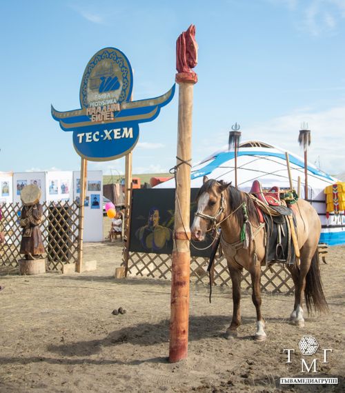 В Кызыле на предстоящие праздники запретят продажу алкоголя.