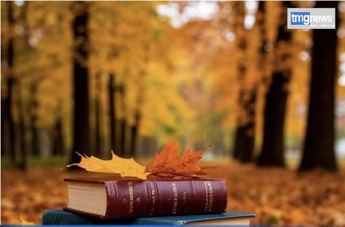 Осенние каникулы в Туве с соблюдением комендантского часа