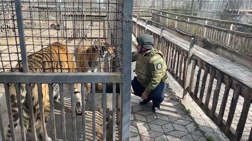 В зоопарк Мариуполя доставили первую гумпомощь