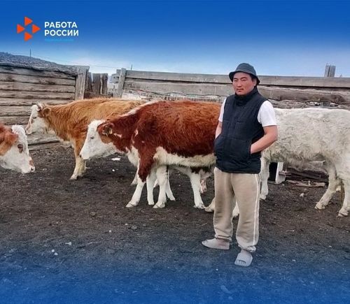 Дело по душе и возможность заработать