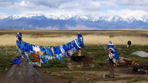 Жителей Тувы приглашают принять участие в международном конкурсе «Экотрадиция»