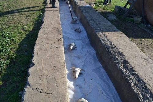 Эрги арганы ажыглап турар