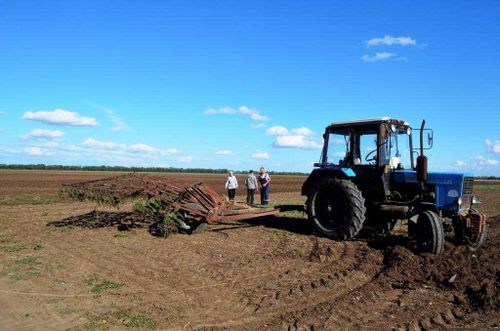 Хозяйства Тувы завершили посевную кампанию