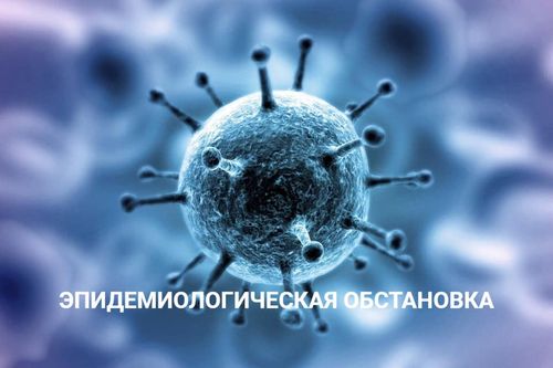 Коронавирус-биле амгы байдал