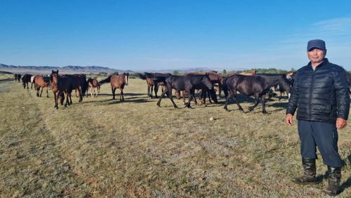 В Туве подведены итоги реализации нацпроектов за 2022 год