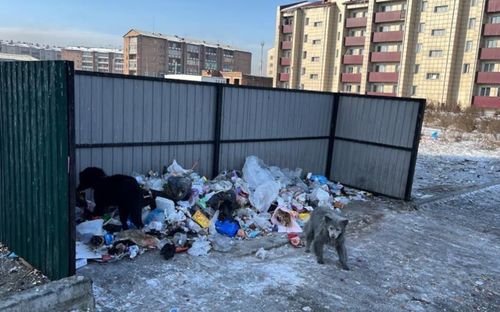 В Кызыле участились случаи краж контейнеров и водоколонок
