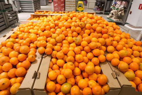 Роспотребнадзор рассказал о правилах выбора и хранения мандаринов