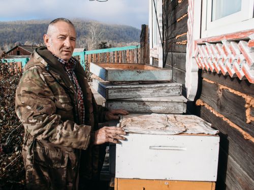 Со следующего года Минсельхоз Тувы инициирует господдержку пчеловодства